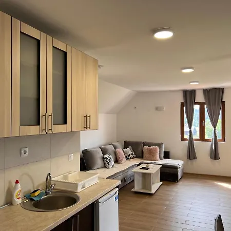 アパート Beli Medved バイナ・バシュタ